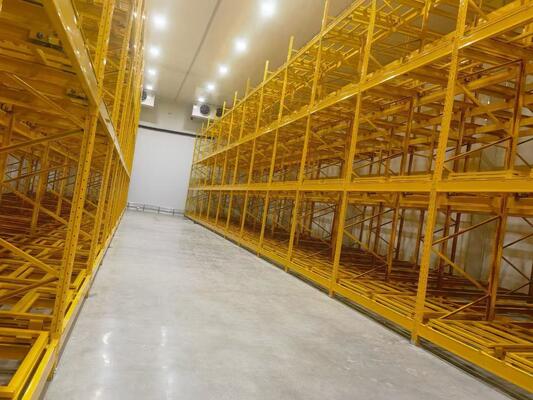 Push Back Racking System Solusi penyimpanan kepadatan tinggi untuk throughput yang lebih cepat dan pemanfaatan ruang yang lebih baik